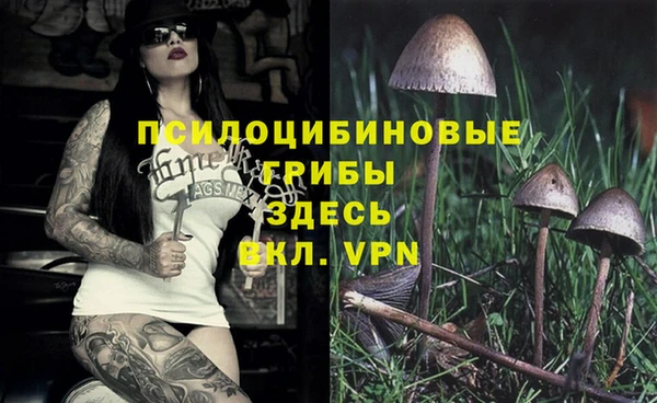 каннабис Пролетарск