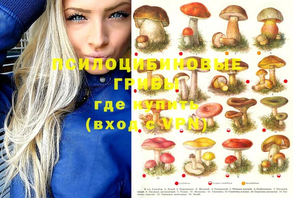 дурь Абдулино