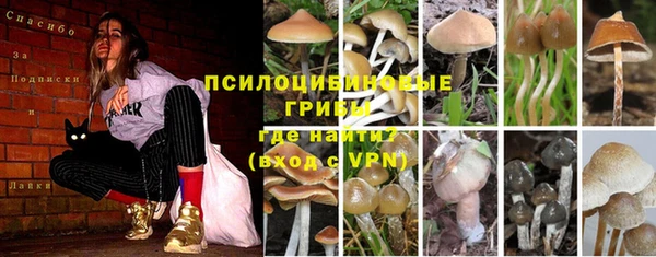 шишки Протвино