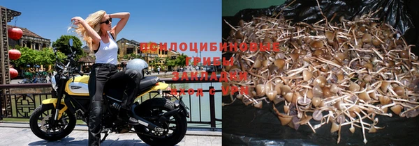 дурь Абдулино