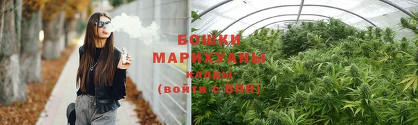шишки Протвино