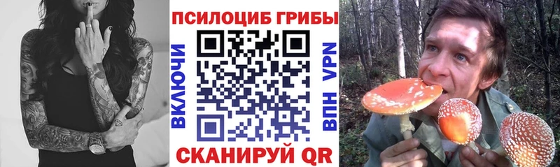 наркотики  Галич  Псилоцибиновые грибы Magic Shrooms 